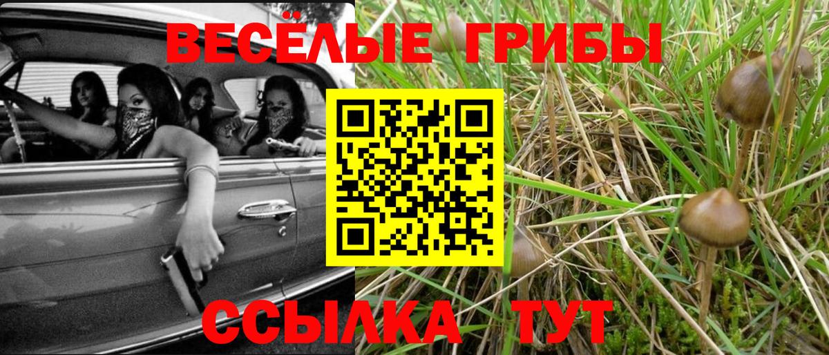 Усинск  Галлюциногенные грибы мицелий  Вход с VPN 